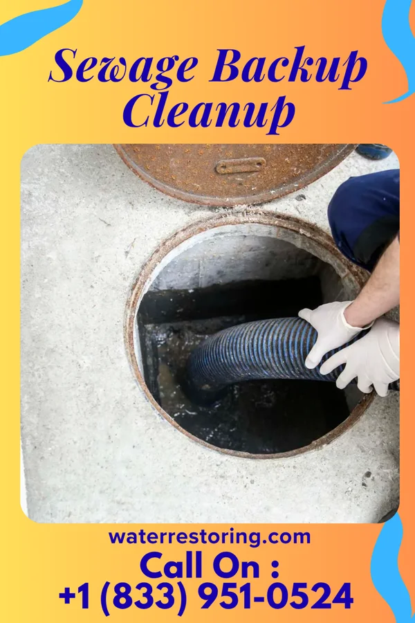 Sewage Backup Cleanup in Silverdale, PA