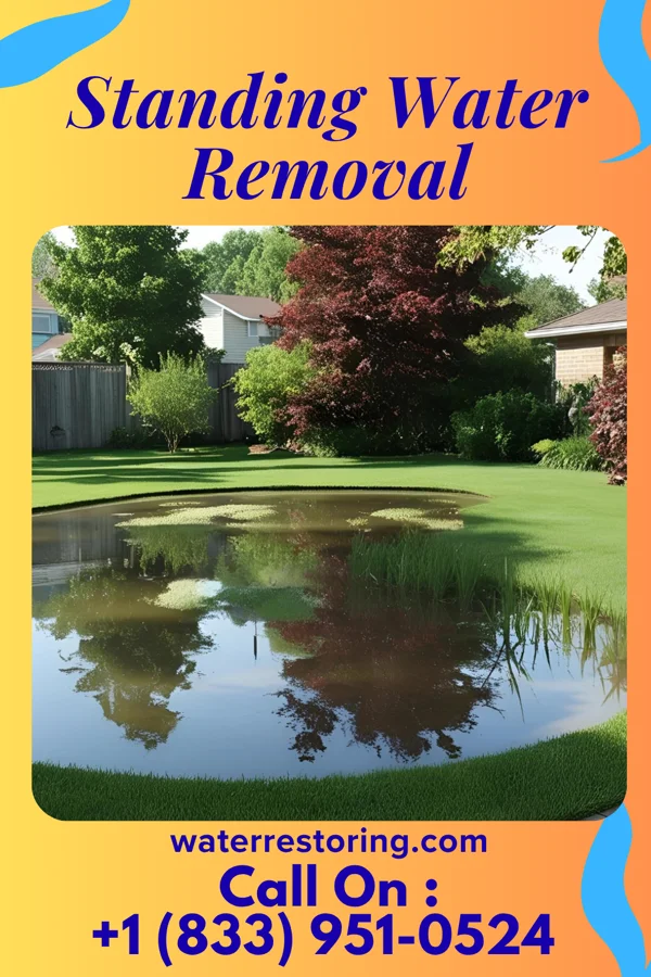 Standing Water Removal in Silverdale, PA